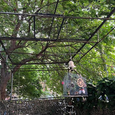 3 Room Flat In Tbilisi Zewnętrze zdjęcie